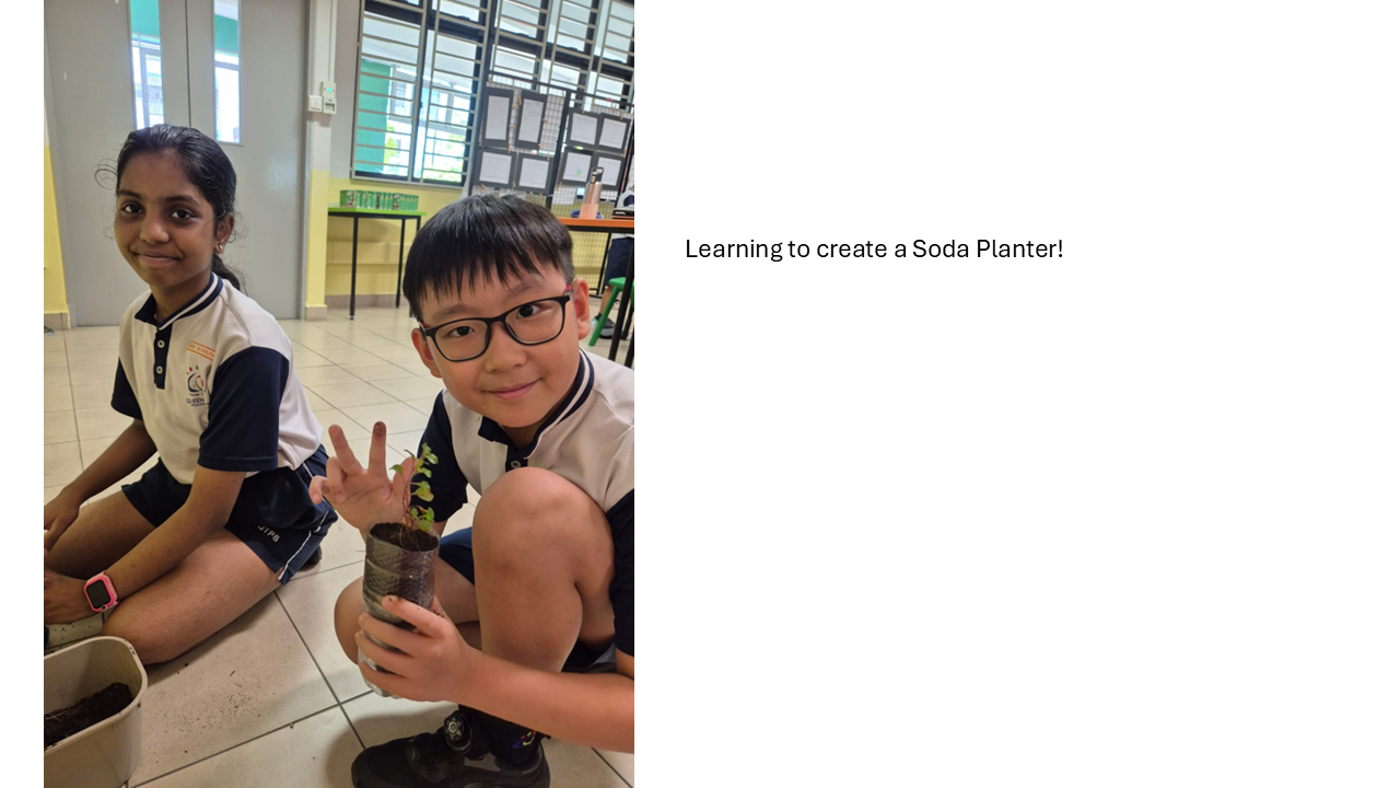 Learning to create a Soda Planter
